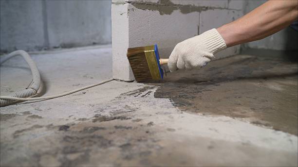 SJ Waterproofing Pros Waterproofing coverage map for Williamsport, TN and surrounding area
